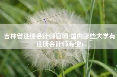吉林省注册会计师官网(国内哪些大学有注册会计师专业)