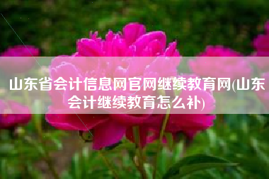 山东省会计信息网官网继续教育网(山东会计继续教育怎么补)