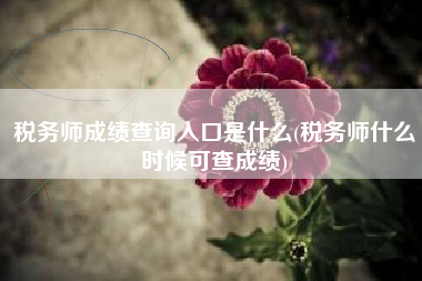 税务师成绩查询入口是什么(税务师什么时候可查成绩)