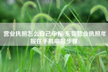 营业执照怎么自己申报(东莞营业执照年报在手机申报步骤)