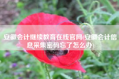 安徽会计继续教育在线官网(安徽会计信息采集密码忘了怎么办)