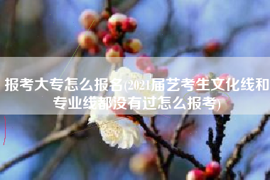 报考大专怎么报名(2021届艺考生文化线和专业线都没有过怎么报考)