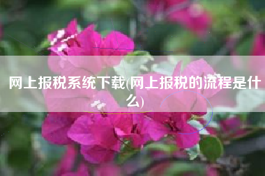 网上报税系统下载(网上报税的流程是什么)