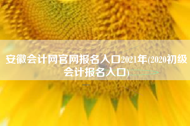 安徽会计网官网报名入口2021年(2020初级会计报名入口)