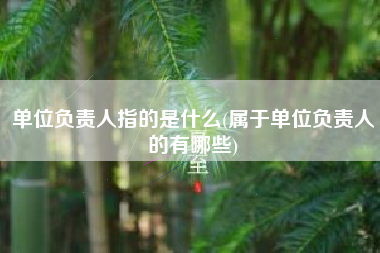 详细阅读:单位负责人指的是什么(属于单位负责人的有哪些) 单位负责人指的是什么(属于单位负责人的有哪些)