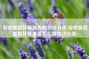 应收账款坏账损失的会计分录(应收账款提取坏账准备怎么做会计分录)