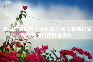 天津税务局电子税务局(公务员报名国家税务局部门代码是多少)