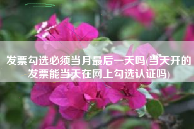 详细阅读:发票勾选必须当月最后一天吗(当天开的发票能当天在网上勾选认证吗) 发票勾选必须当月最后一天吗(当天开的发票能当天在网上勾选认证吗)