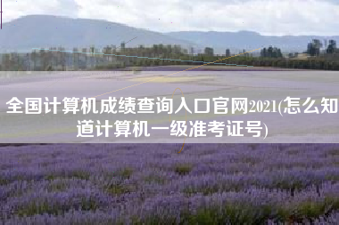 全国计算机成绩查询入口官网2021(怎么知道计算机一级准考证号)