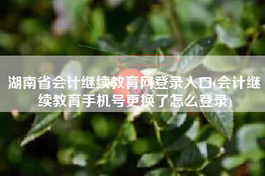 湖南省会计继续教育网登录入口(会计继续教育手机号更换了怎么登录)