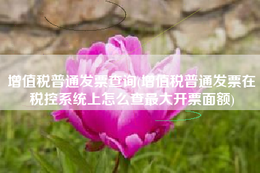 增值税普通发票查询(增值税普通发票在税控系统上怎么查最大开票面额)