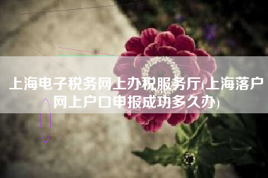 上海电子税务网上办税服务厅(上海落户网上户口申报成功多久办)