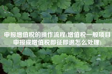 申报增值税的操作流程(增值税一般项目申报成增值税即征即退怎么处理)