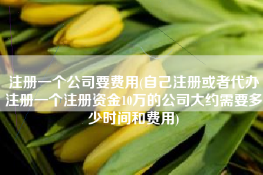 注册一个公司要费用(自己注册或者代办注册一个注册资金10万的公司大约需要多少时间和费用)