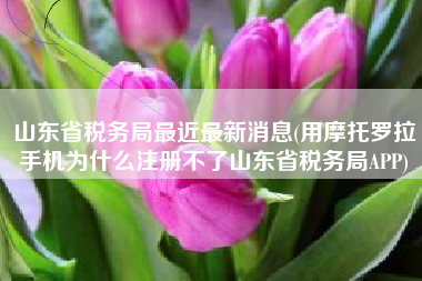山东省税务局最近最新消息(用摩托罗拉手机为什么注册不了山东省税务局APP)