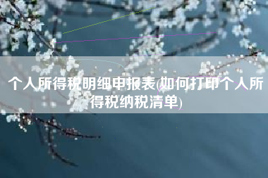 个人所得税明细申报表(如何打印个人所得税纳税清单)