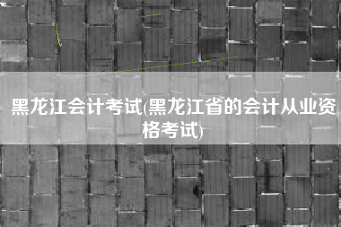 黑龙江会计考试(黑龙江省的会计从业资格考试)