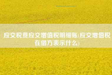 应交税费应交增值税明细账(应交增值税在借方表示什么)