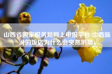 山西省国家税务局网上申报平台(山西临汾的饭店为什么会突然坍塌)