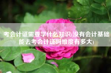 考会计证需要学什么知识(没有会计基础能去考会计证吗难度有多大)