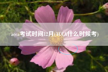 acca考试时间12月(ACCA什么时候考)