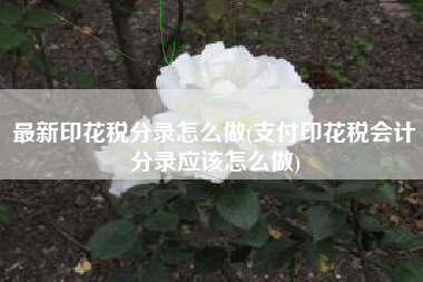最新印花税分录怎么做(支付印花税会计分录应该怎么做)