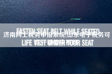 济南网上税务申报系统(山东电子税务可以一键零申报吗)