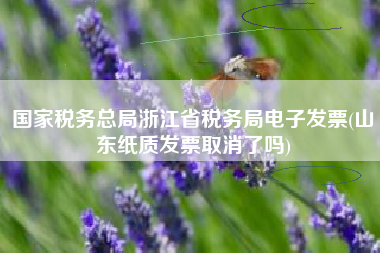国家税务总局浙江省税务局电子发票(山东纸质发票取消了吗)
