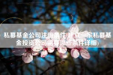 私募基金公司注册条件(建立一家私募基金投资公司需要哪些条件详细)