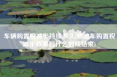 车辆购置税减半持续多久(燃油车购置税减半政策到什么时候结束)