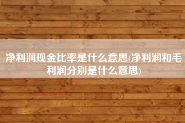 详细阅读:净利润现金比率是什么意思(净利润和毛利润分别是什么意思) 净利润现金比率是什么意思(净利润和毛利润分别是什么意思)