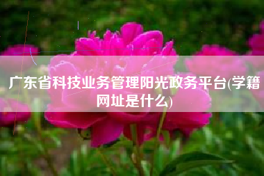 详细阅读:广东省科技业务管理阳光政务平台(学籍网址是什么) 广东省科技业务管理阳光政务平台(学籍网址是什么)