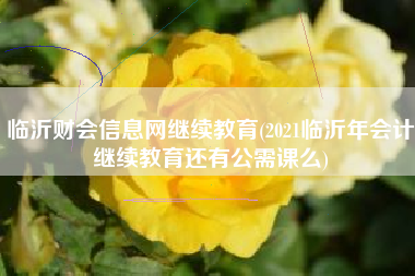 详细阅读:临沂财会信息网继续教育(2021临沂年会计继续教育还有公需课么) 临沂财会信息网继续教育(2021临沂年会计继续教育还有公需课么)