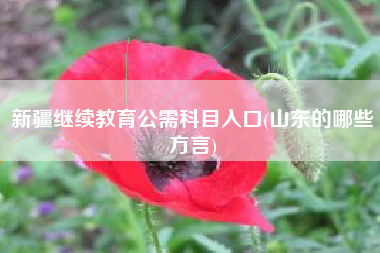 详细阅读:新疆继续教育公需科目入口(山东的哪些方言) 新疆继续教育公需科目入口(山东的哪些方言)