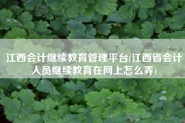 江西会计继续教育管理平台(江西省会计人员继续教育在网上怎么弄)