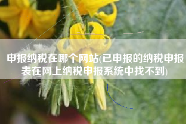申报纳税在哪个网站(已申报的纳税申报表在网上纳税申报系统中找不到)