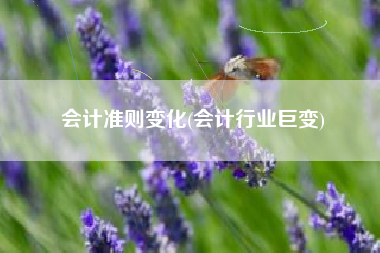 会计准则变化(会计行业巨变)