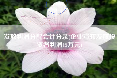 发放利润分配会计分录(企业宣布发放投资者利润15万元)