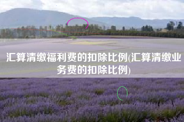 汇算清缴福利费的扣除比例(汇算清缴业务费的扣除比例)