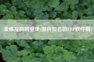 金蝶友商网登录(国内知名的ERP软件商)