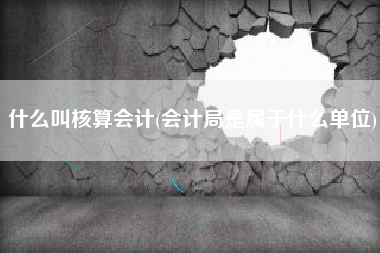 什么叫核算会计(会计局是属于什么单位)