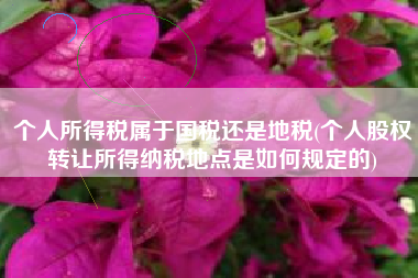 个人所得税属于国税还是地税(个人股权转让所得纳税地点是如何规定的)
