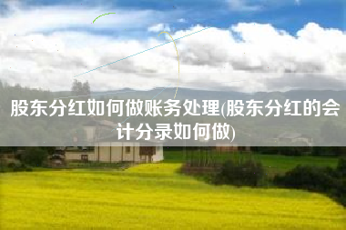股东分红如何做账务处理(股东分红的会计分录如何做)