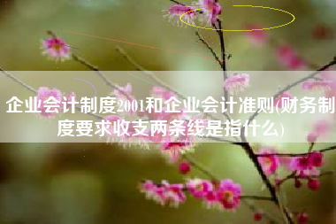 企业会计制度2001和企业会计准则(财务制度要求收支两条线是指什么)