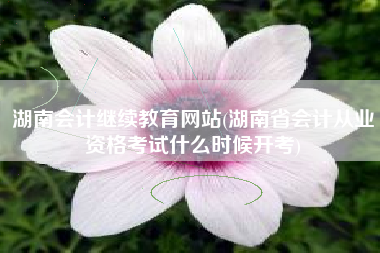 湖南会计继续教育网站(湖南省会计从业资格考试什么时候开考)