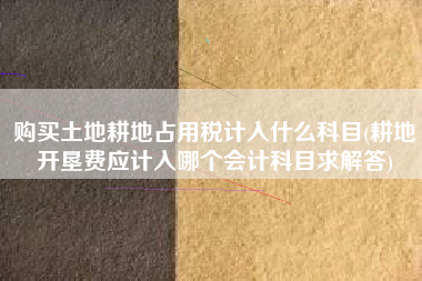 购买土地耕地占用税计入什么科目(耕地开垦费应计入哪个会计科目求解答)