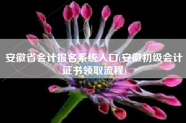 安徽省会计报名系统入口(安徽初级会计证书领取流程)