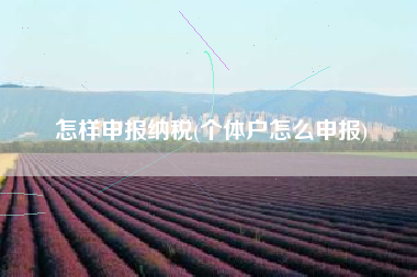 怎样申报纳税(个体户怎么申报)