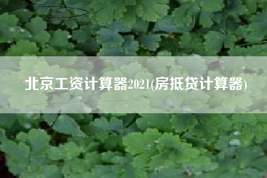 北京工资计算器2021(房抵贷计算器)
