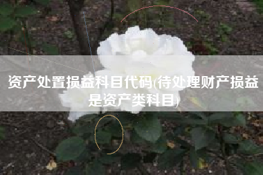 资产处置损益科目代码(待处理财产损益是资产类科目)